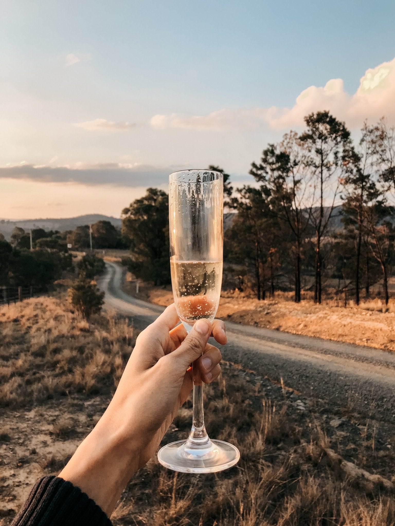 Ferieguiden til VEUVE CLICQUOT - Den Gule Enke - PremiumBottles