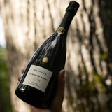 Bollinger La Grande Année Vintage 2015 Brut 75 cl.