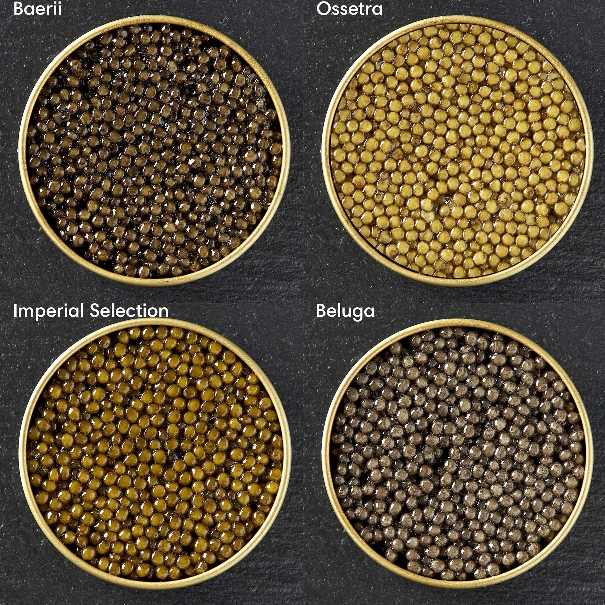Imperial Caviar Prøvesmag Imperial Caviar: 4 varianter a hver 10 gram - PremiumBottles