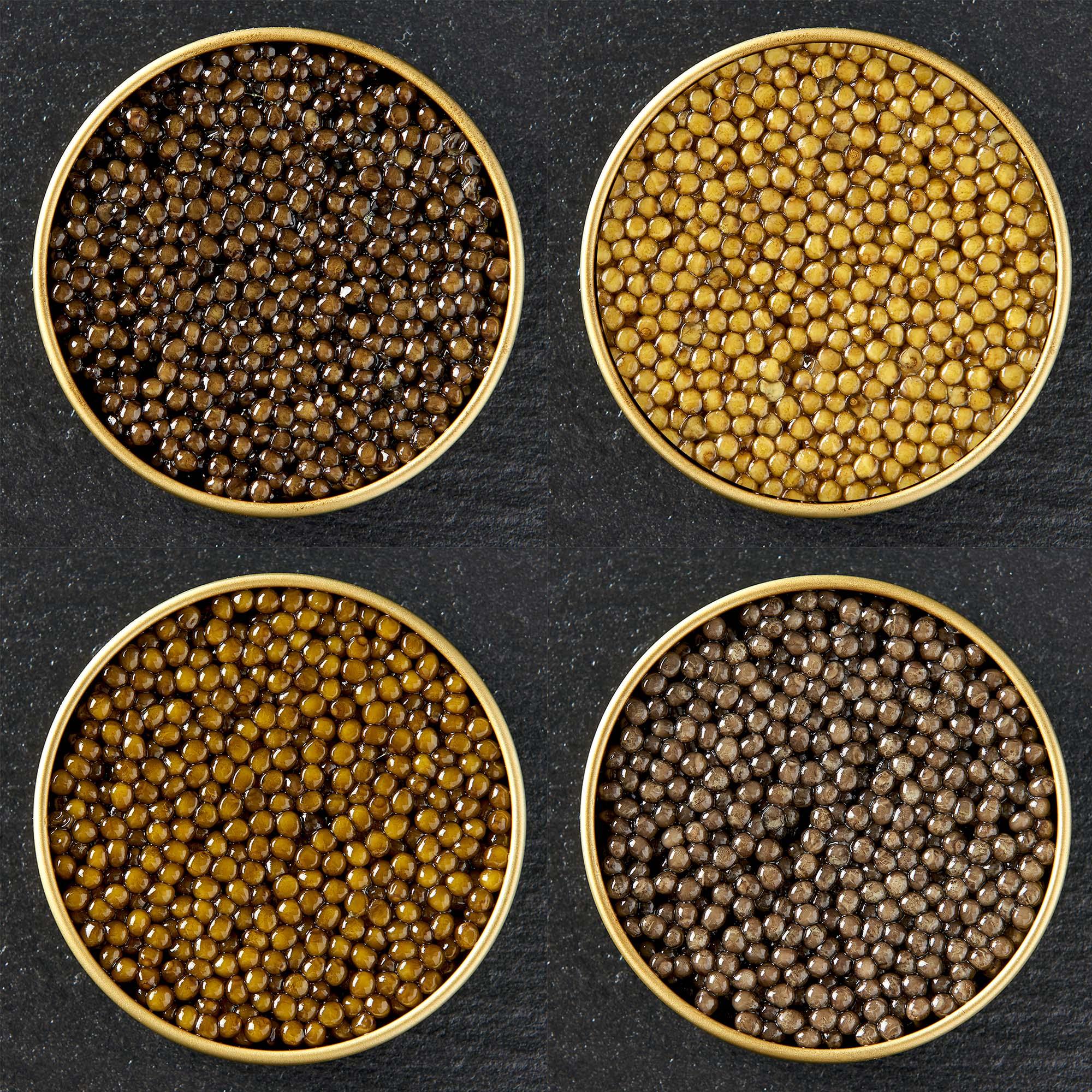 Imperial Caviar Prøvesmag Imperial Caviar: 4 varianter a hver 10 gram - PremiumBottles